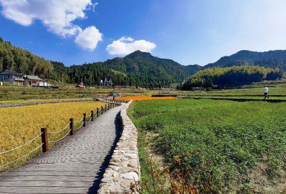 给泽雅北林垟田园风光的赞歌_ta_色彩_洞头