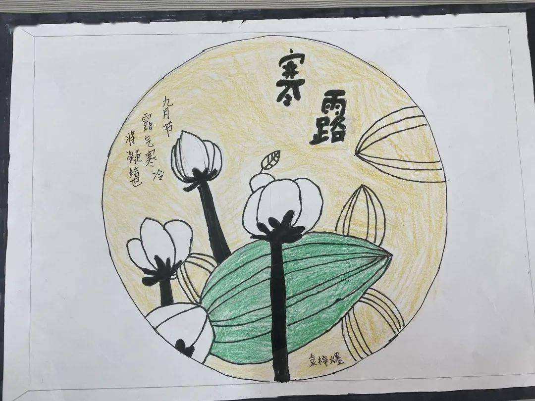 白露节气盘子画图片