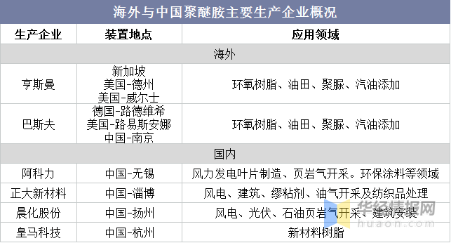 中国聚醚胺行业市场深度分析及投资战略规划报告（中国聚醚胺行业市场深度分析及投资战略规划报告总结）