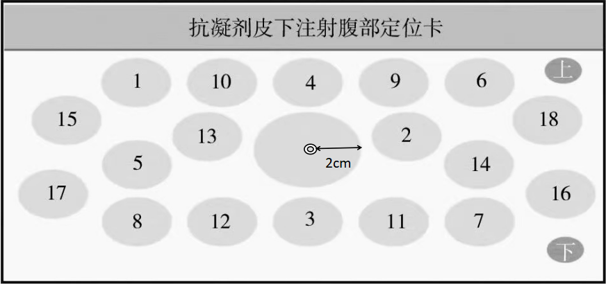 达肝素注射肚皮范围图片