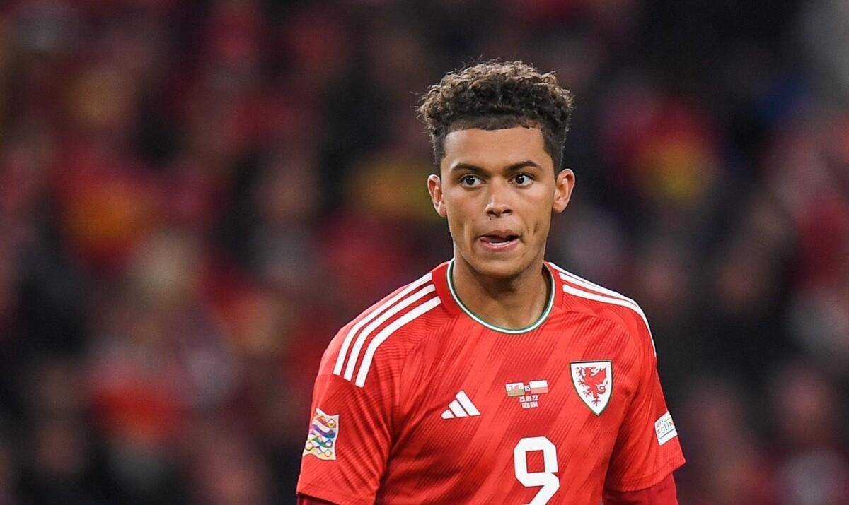 约翰逊拥有威尔士和英格兰的双重国籍,最终他选择了威尔士国家队.