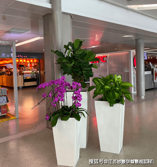 宿州鲜花配送：以爱之名，传递美好