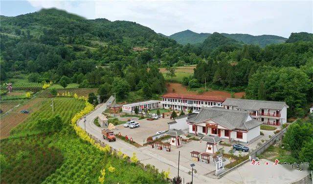 陇南三泉村：村子美了　游客来了　产业旺了