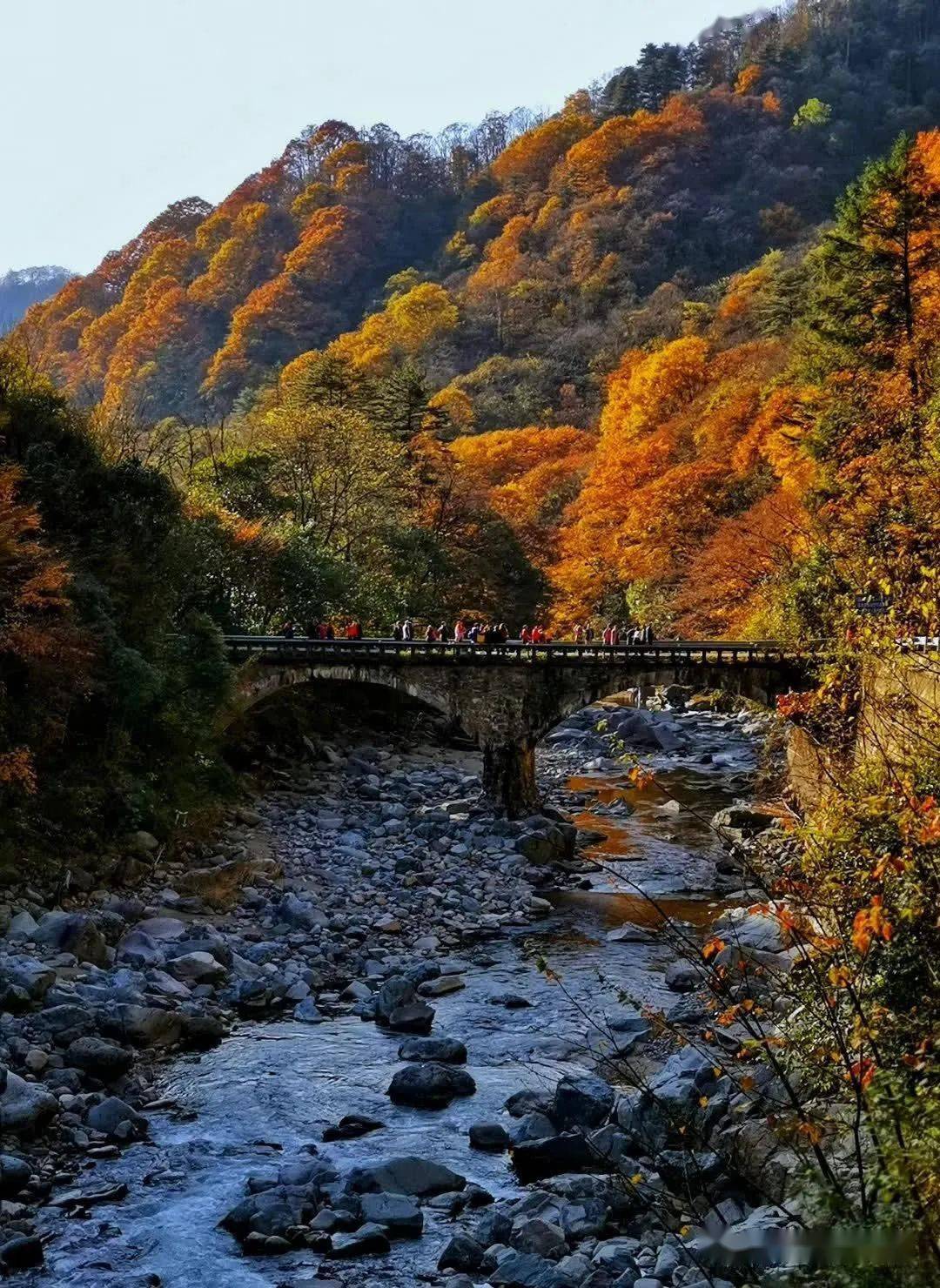 摄《古镇夜色》许清泉 摄《昭化古城》张杭平 摄《五光十色》叶蔚芸
