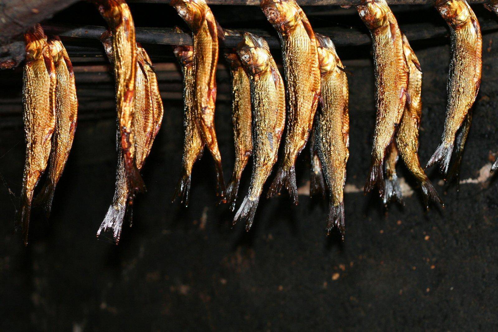 维京人和丹麦人为英国带来了熏鱼和干鱼的技术,直到今天,在英格兰和