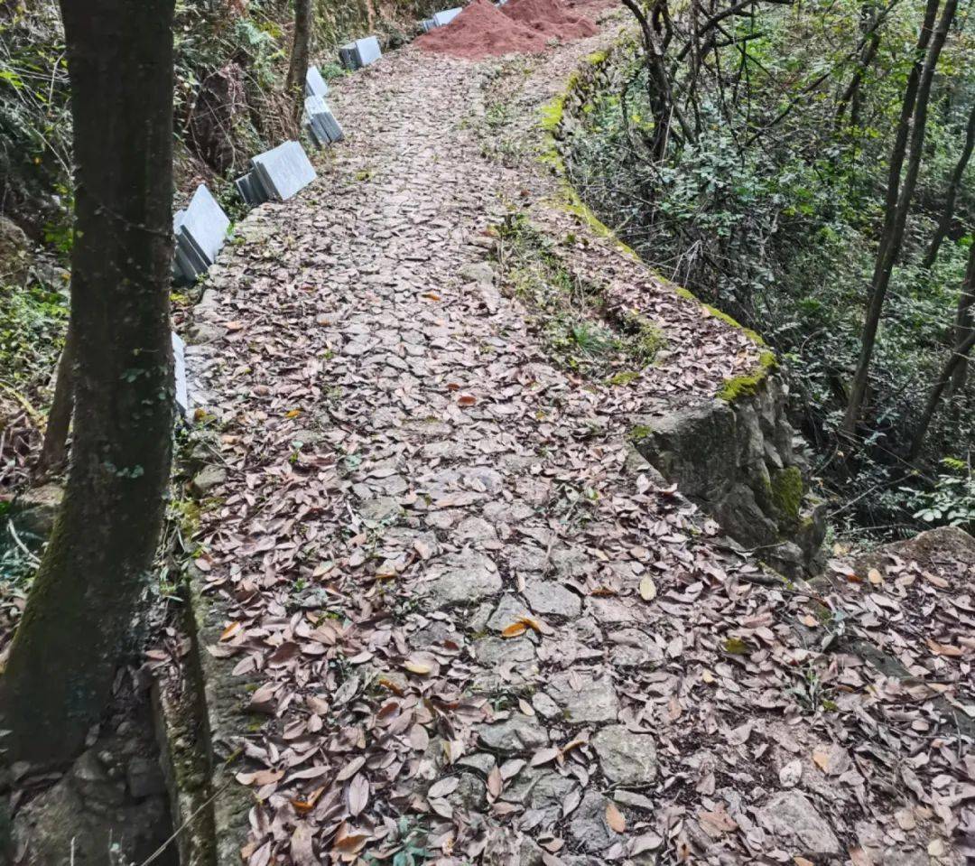 投资640余万元完成对竹安小径,釜章步道,环山步道