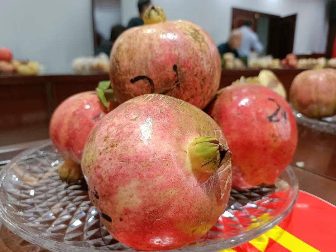 怀远:新一届"石榴王"诞生啦!_玉石_王重_三王