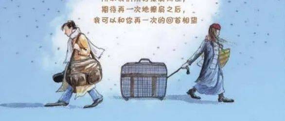 告别错过!球探足球比分即时比分手机版