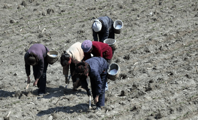 朝鲜农村的真实生活，牛耕人背电力稀少，农村的朋友眼熟么？