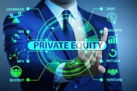 _private equity是什么意思中文翻译_private equity是什么意思中文翻译