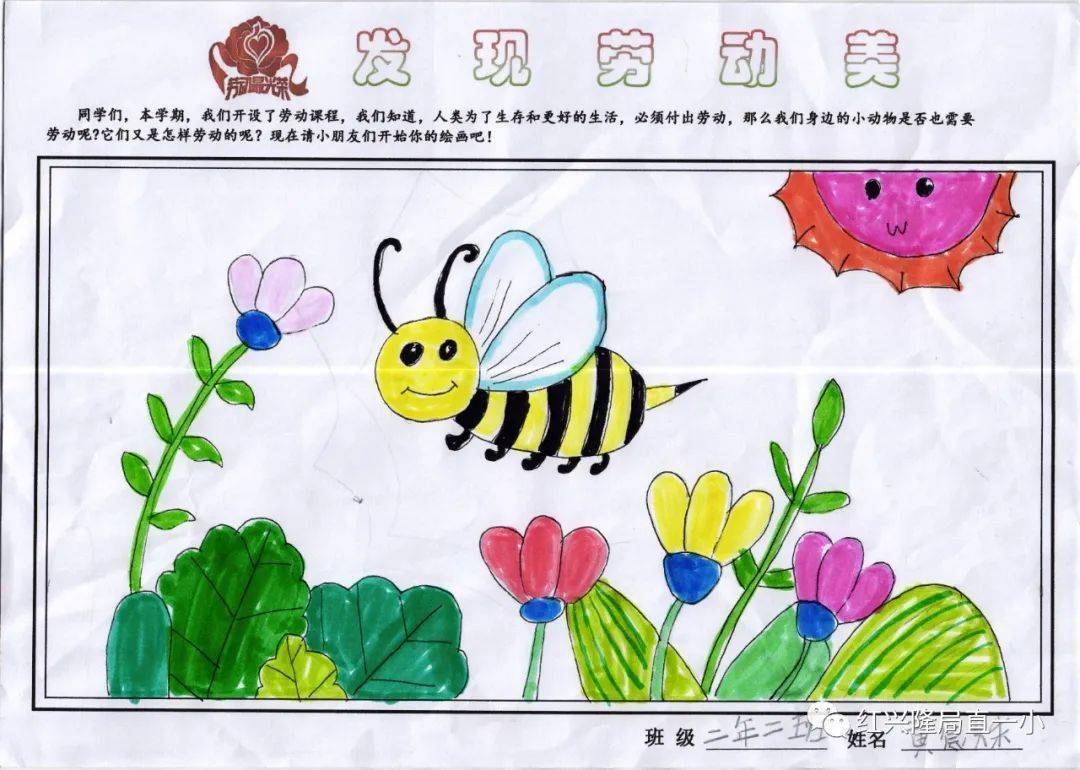 【劳动61课程】动物需要劳动吗?——二年级国庆节劳动实践作业反馈