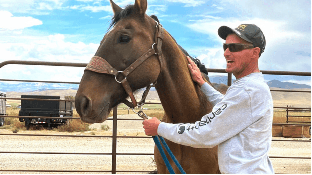美国一匹家马与野马浪迹8年后与主人重聚 因“训练”痕迹被发现