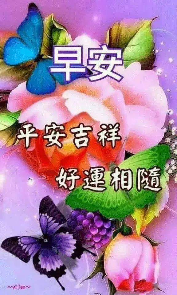 唯美漂亮好看的早上好问候语图片表情 最火的早上好祝福语表情包图片