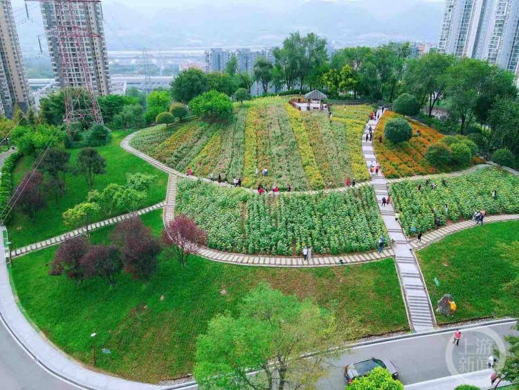 重庆九龙坡区幸福公园图片
