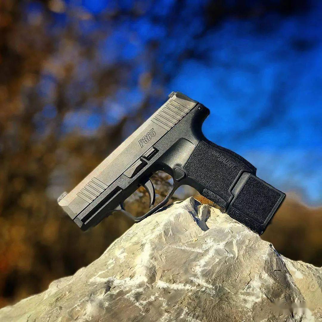 【隐匿携带绝佳利器】西格绍尔公司p365系列手枪图集_火器_视频_军事