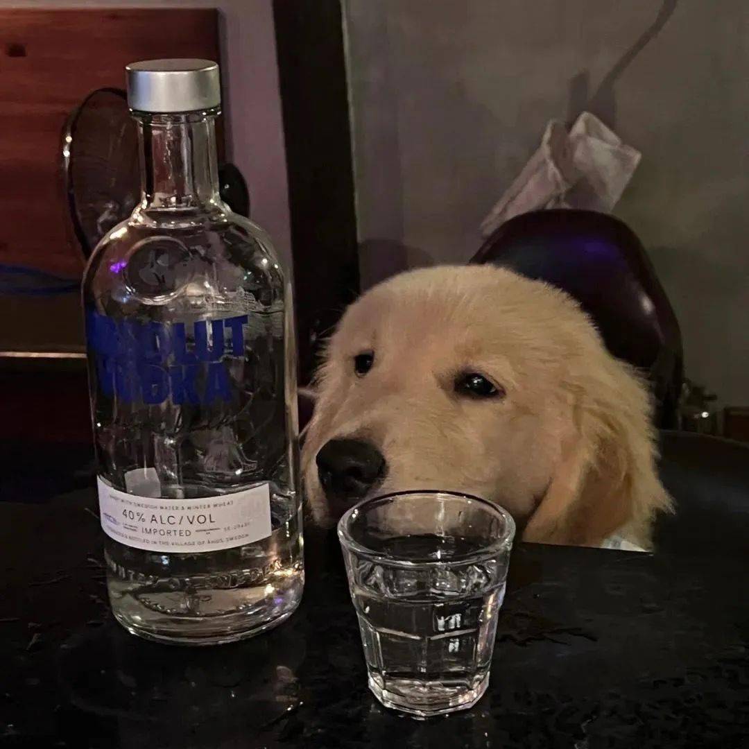 表情包也来不及准备啦,明天再发叭大家晚安咯早睡么么哒00