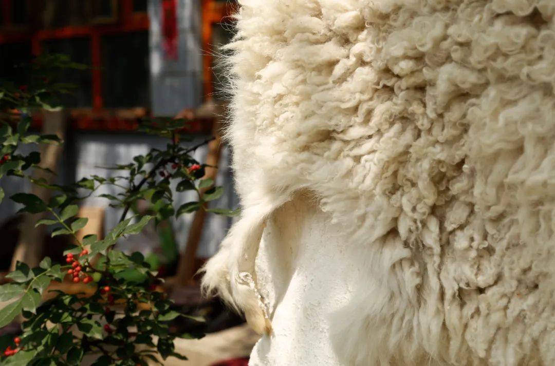 67【高手在民间】最后的硝皮匠人_皮子_芒硝_兽皮