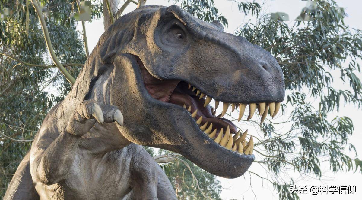 如果霸王龙穿越到现代,它还会是百兽之王吗?