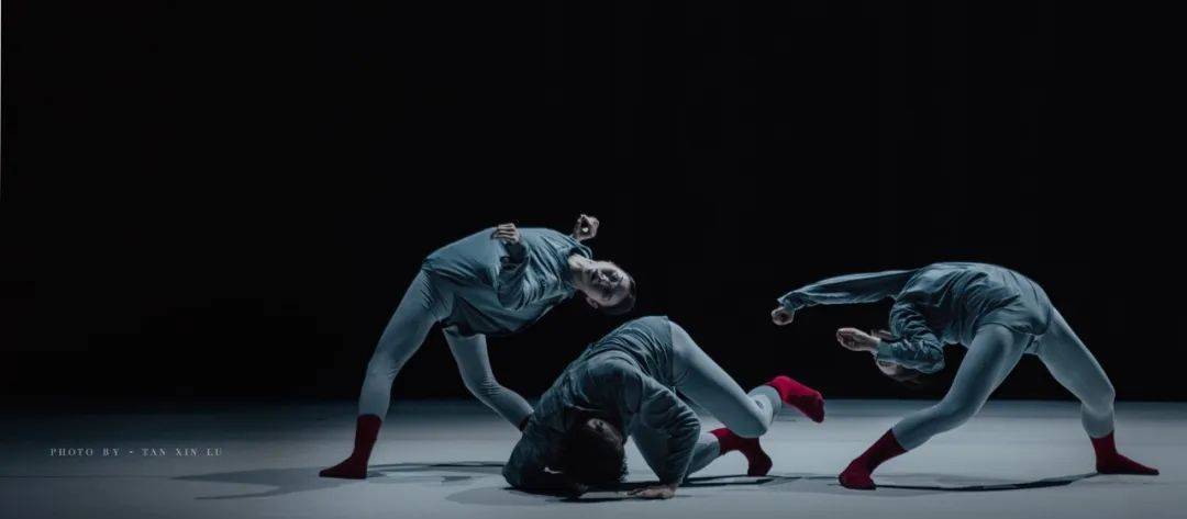 谢欣舞蹈剧场新锐新作《四相》开票|一场演出,四位编导,四个作品_合作