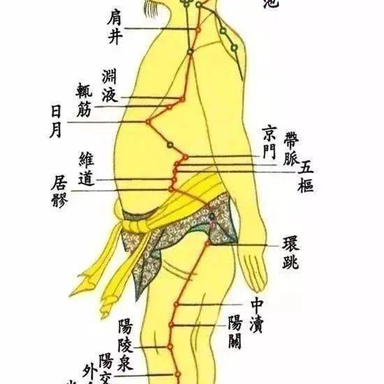“胆经操”，胆经一通，万病无踪_身体_影响_双手