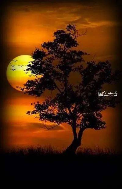 作者简介张积荣,笔名梦秋.福建省宁德市作家协会会员,生于闽东周宁.
