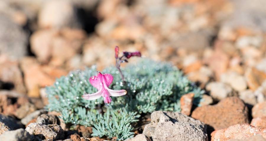 小心家电产业分裂性假象的商业诱骗-家电圈官网
