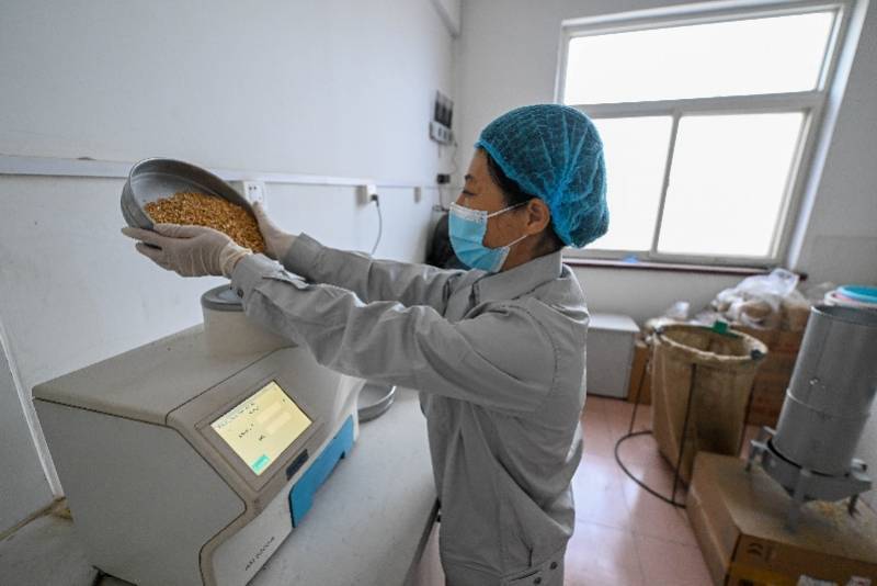 图集：“大国粮仓” ，机器人自动检测粮食样本