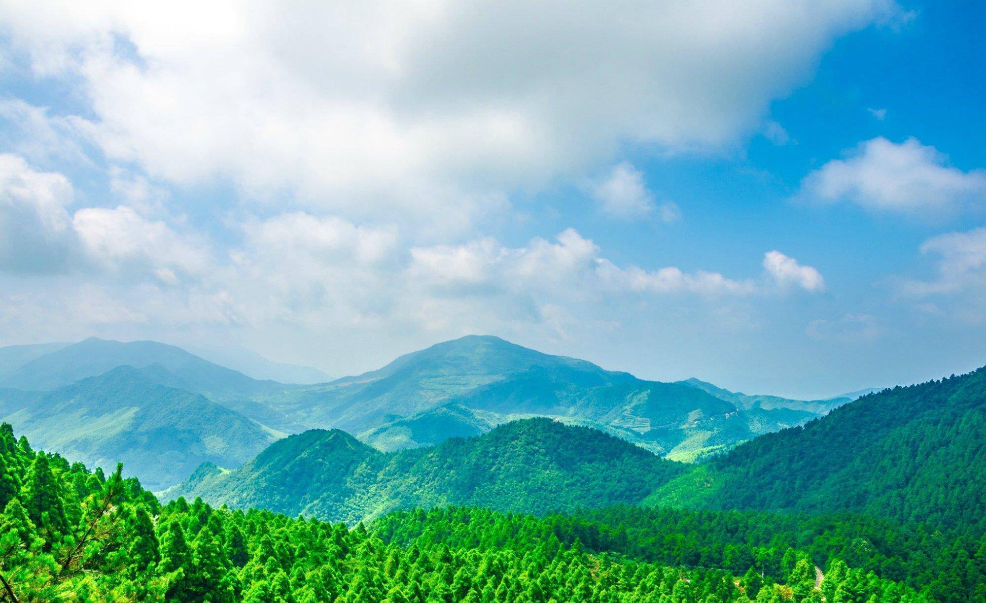 天台华顶国家森林公园，天然的植物资源宝库，云锦杜鹃林最负盛名