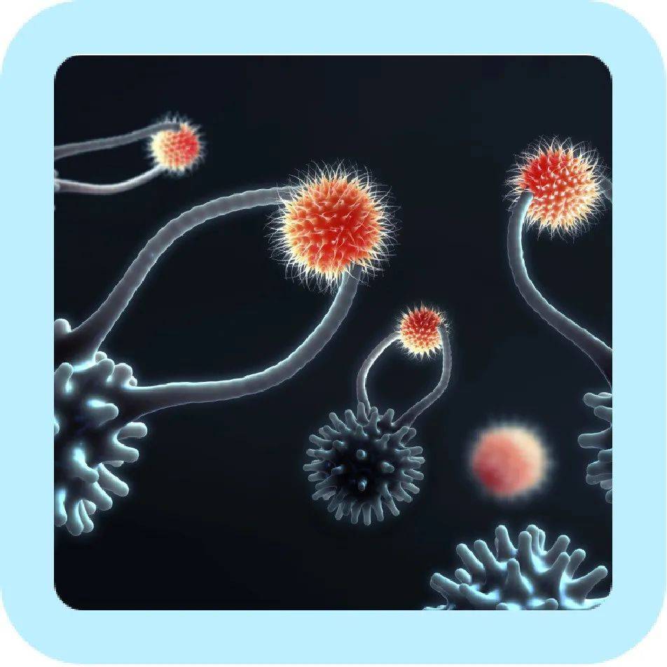 肿瘤代谢再次登顶 Science！1 小时讲清代谢研究的进展与现状_细胞_影响_技术
