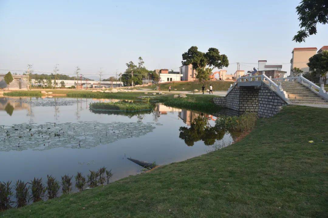 【喜迎二十大 乡镇大跨越】新兴县水台镇:文旅开花满城芳 奋进征程