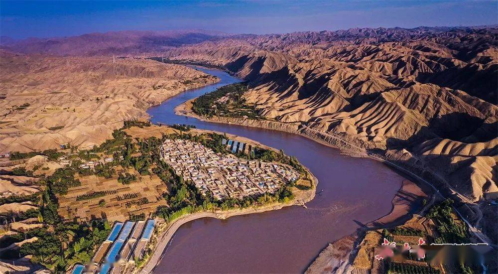 白银市景泰县:黄河两岸好"丰"光 五佛平原似锦绣_甘肃_稻穗_田野