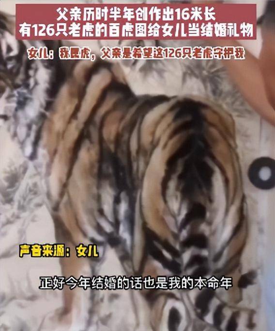 河南男子花半年画16米长“百虎图”送女儿当新婚礼物，寓意美好：正好是本命年，希望这126只老虎守护她