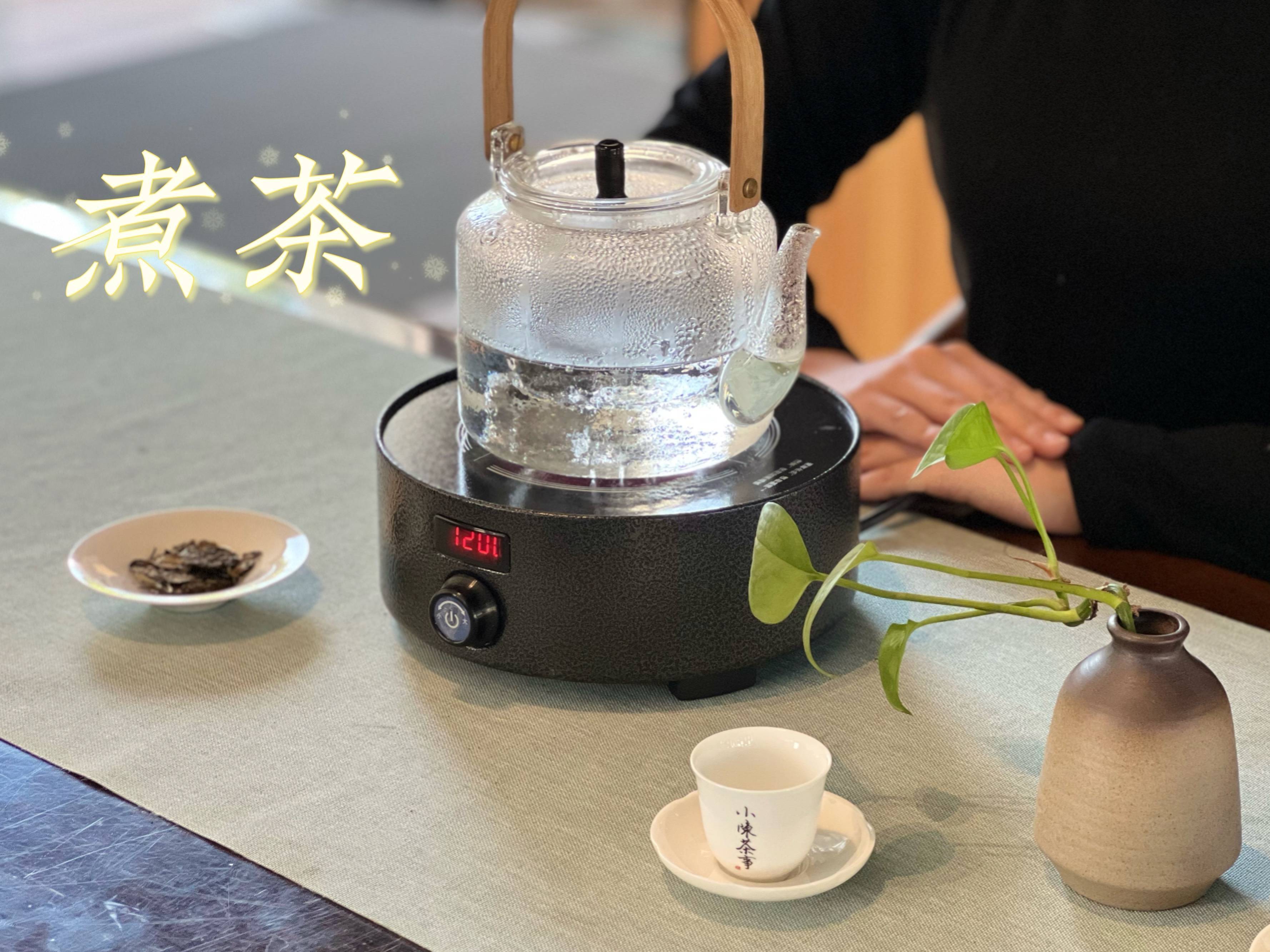 5分钟,讲清楚煮茶和闷泡的区别,终于知道怎么正确喝老白茶了_物质_时间_茶叶