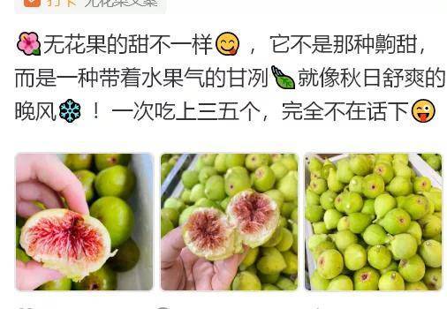 无花果文案:推广无花果水果文案,吸引人的水果无花果文案_运营_圈子