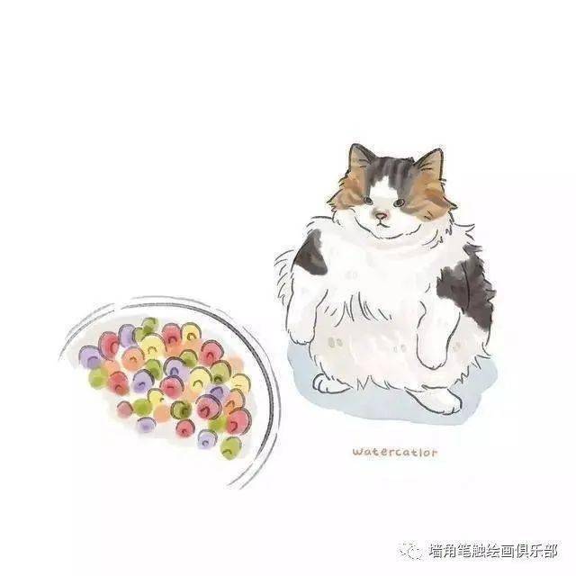 参考之资·艺‖ 猫奴画师将网红“沙雕”猫酿成插画后，胜利吸粉20万！