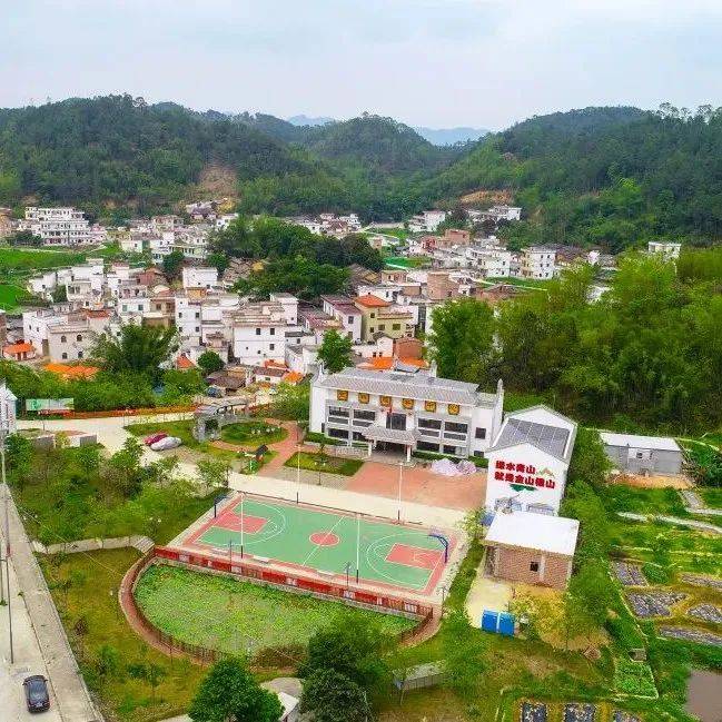 非凡十年 | 以美学思维建设美丽乡村,擦亮肇庆乡村振兴底色_农村_旅游_贺江碧