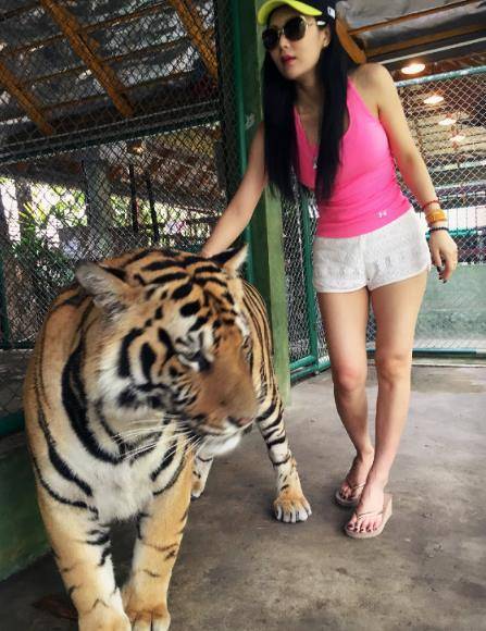 张淇老婆晒游客照,夫妻俩近距离接触抚摸大老虎,太勇了_韦佳_专业