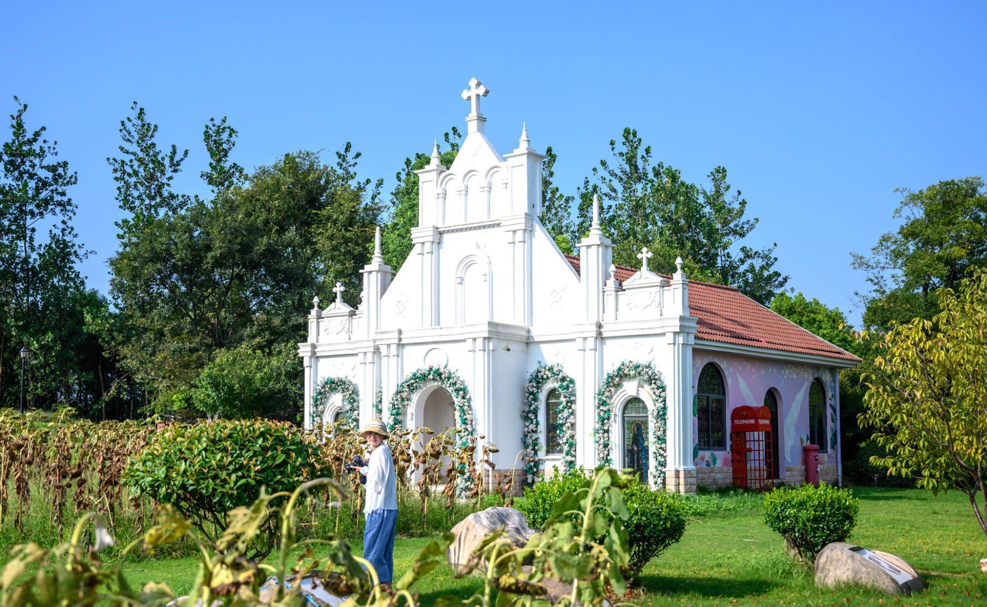浙江上虞新晋网红打卡地,660亩的海上花田景区,你去过了吗?