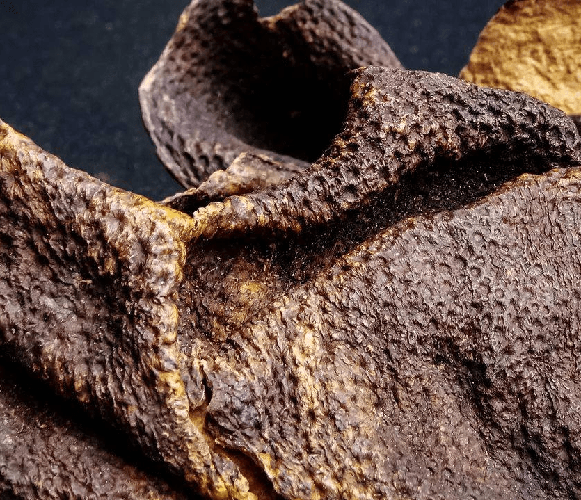 肉眼可见外表皮质地皱缩,纹理清晰,呈猪鬃纹,有许多凹入的油点.