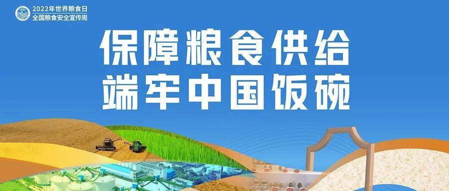 崇尚节粮爱粮 共赴美好“食”光——二十中学开展粮食安全宣传周主题教育活动_我国_国家_行动