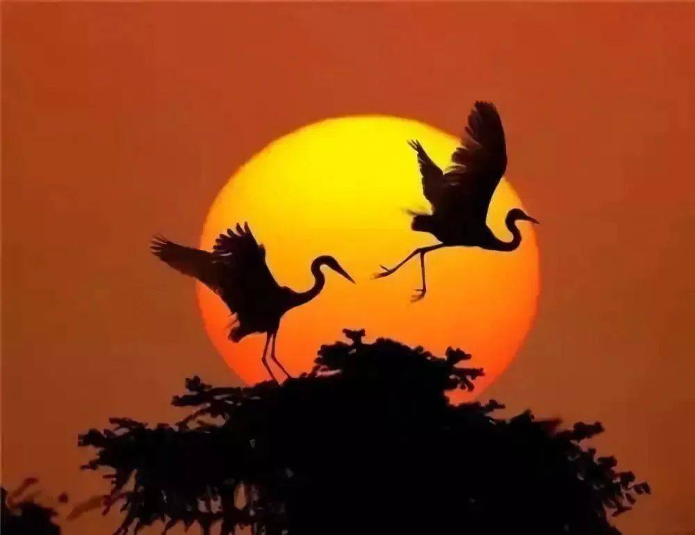 《夕阳醒》青山依旧在，几度夕阳红！（深度好文）_人生_一场空_一生