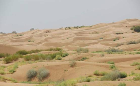 为何中国沙漠那么多，却不将沙子用来盖房呢？说出来你可能不信