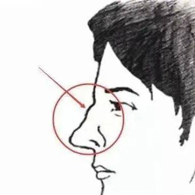 观鼻论相,以点带面_鼻梁_鼻子_鼻头