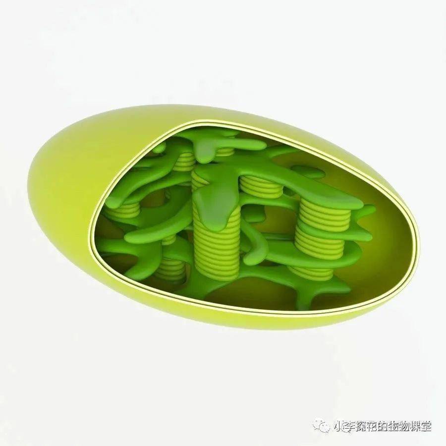 生物备课:生物美图素材_分子结构_细胞_作用