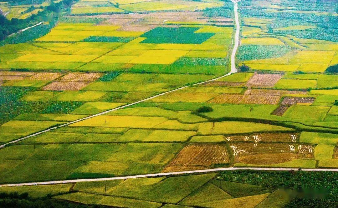 赣南农耕 文明与现 代都市的相关图片1