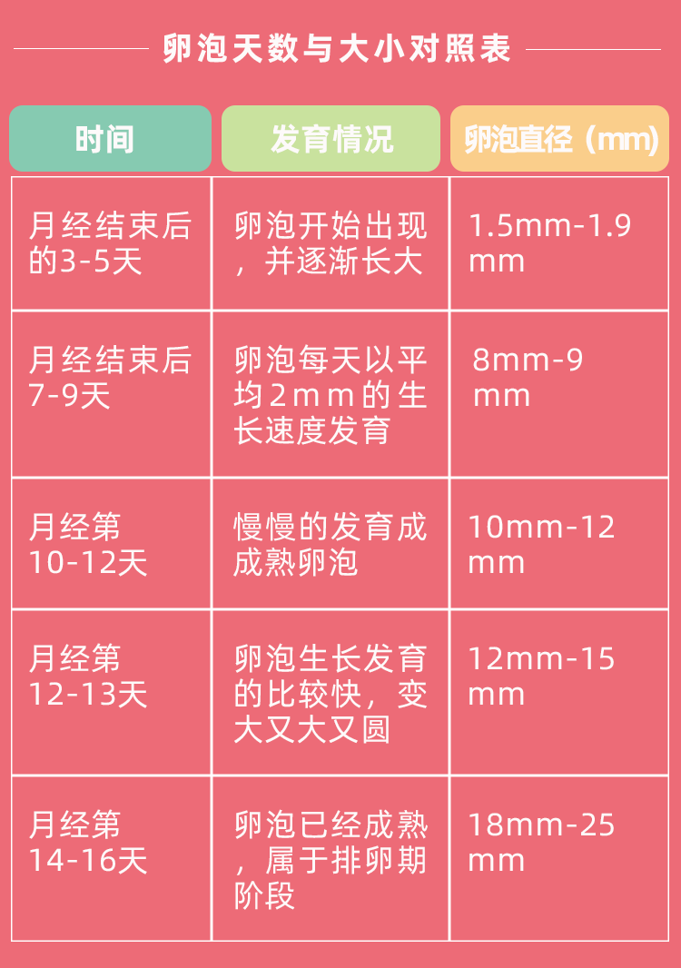这1-2枚卵泡会慢慢的发育,随着月经周期发育成优势卵泡,最后排除,在