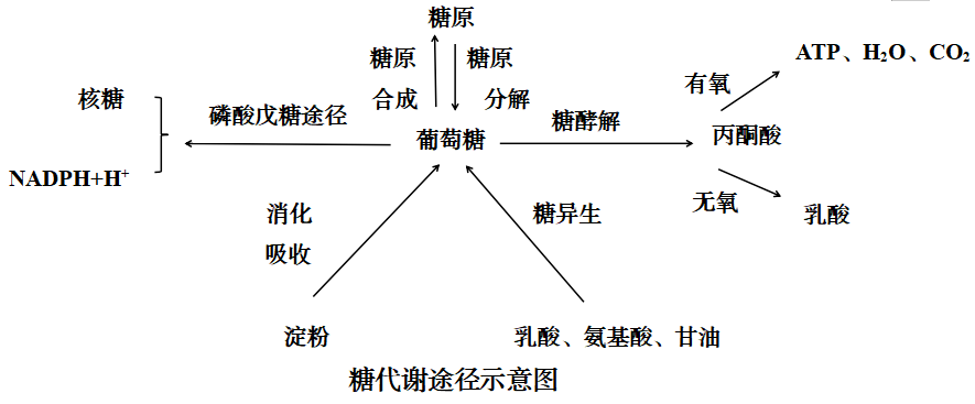 生化检查单 血生化图片