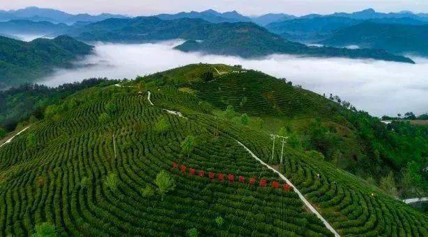 名片_中国_陕西省