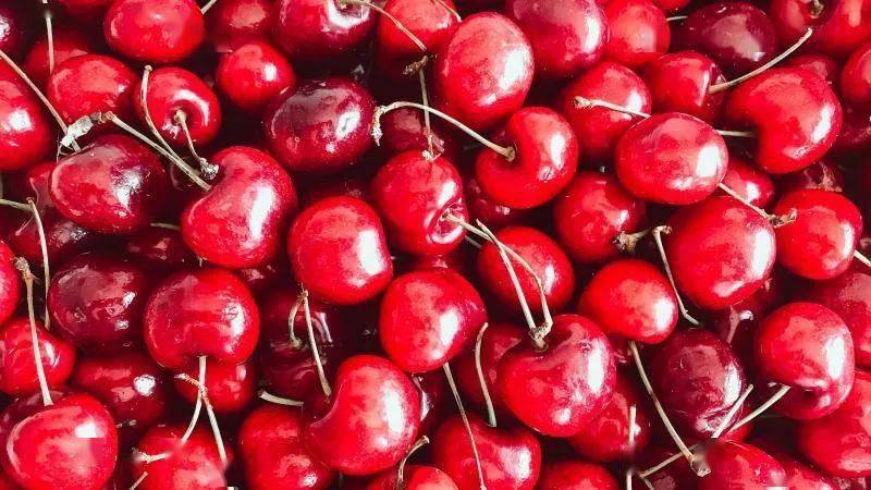 chile launches 2022/23 cherry season, expects $3 billion in .