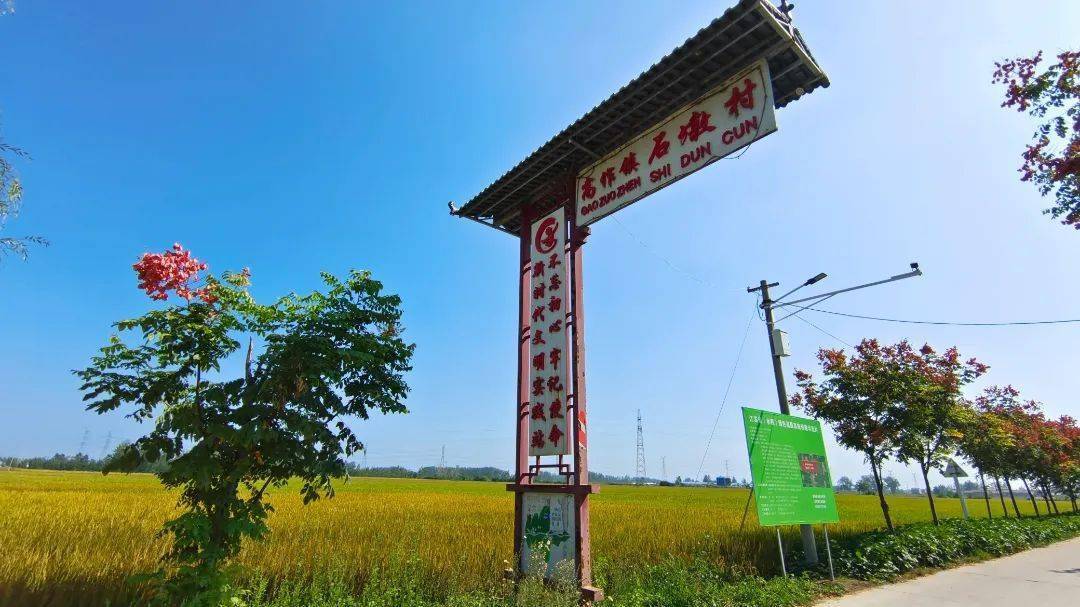 高姿态大动作 缔造东部新城丨奋进时代征程·见证精彩睢宁70_高作镇